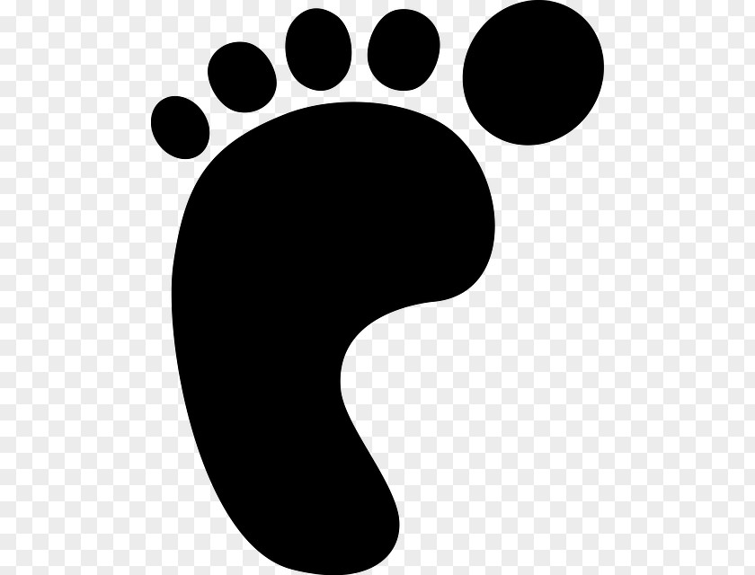 Human Foot Bigfoot Footprint Clip Art PNG