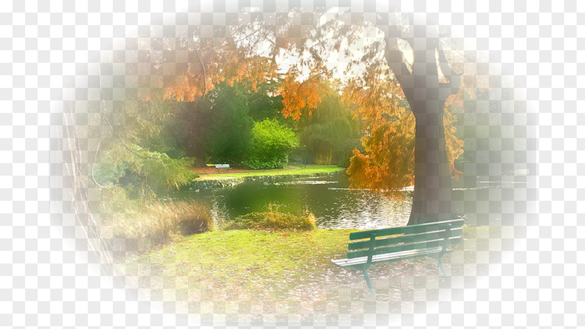 Autumn Landscape Feeling Weather Quotation PNG