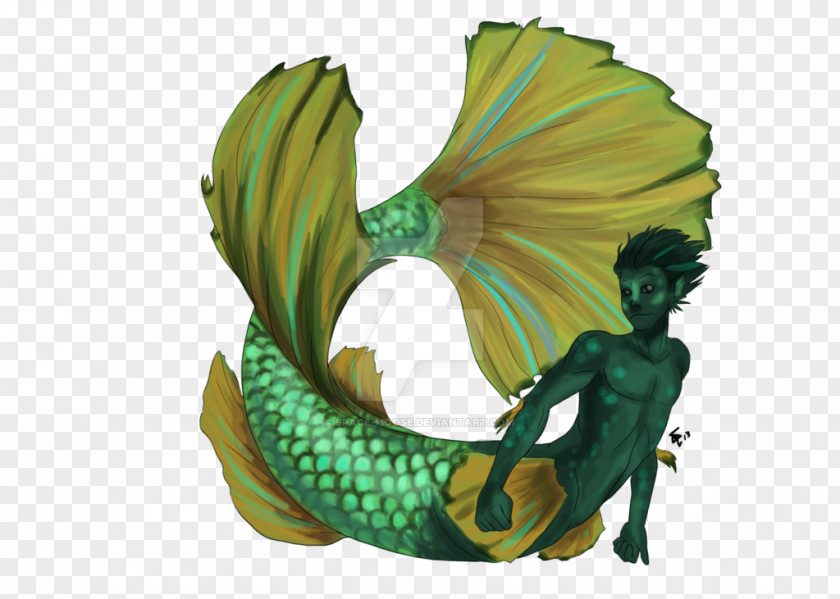 Betta Siamese Fighting Fish A Mermaid Merman Legendary Creature PNG