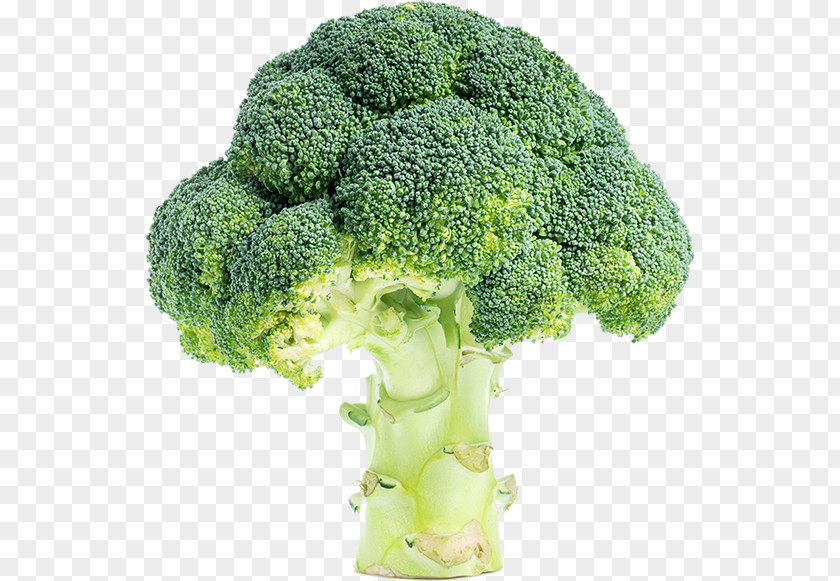 Broccoli Fresco Flowerpot Nature Continent PNG