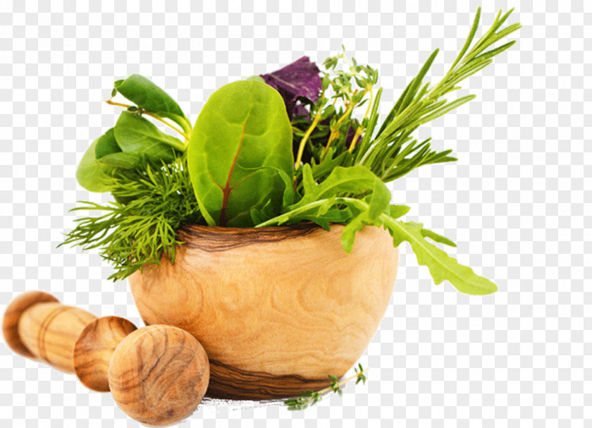 Health Herb Food Cosmetics Flavor PNG
