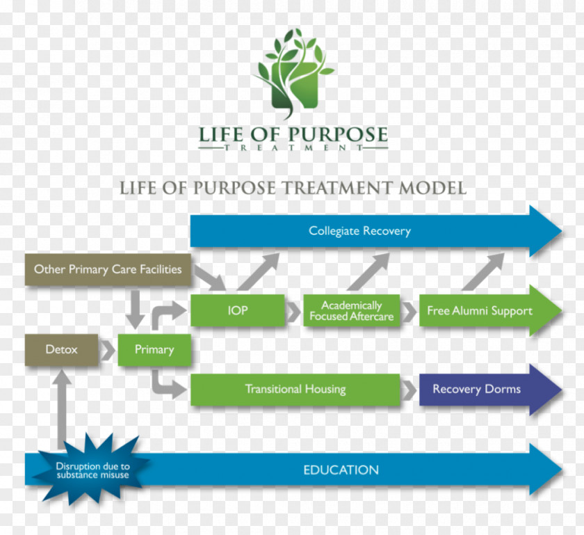 Organizational Framework Health Care Drug Rehabilitation Medication Therapy Management Substance Use Disorder PNG