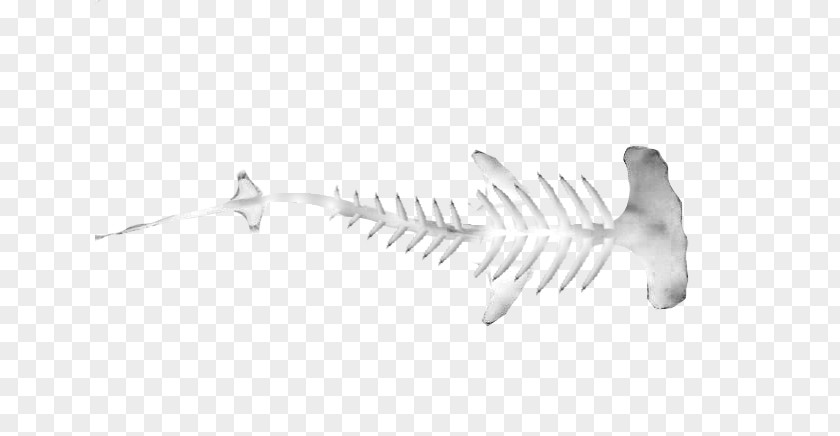 Shark Tiger Isurus Oxyrinchus Hammerhead Great PNG