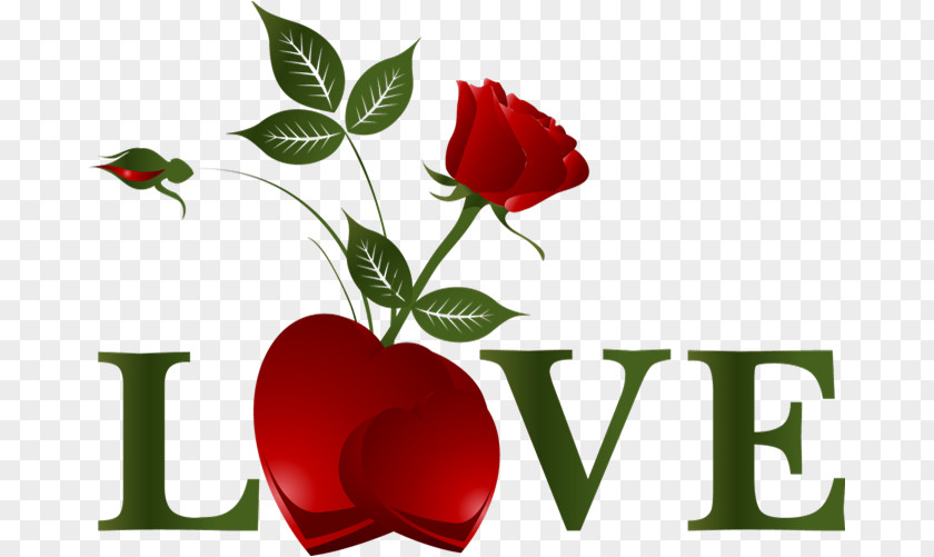 Valentine's Day Love Romance PNG
