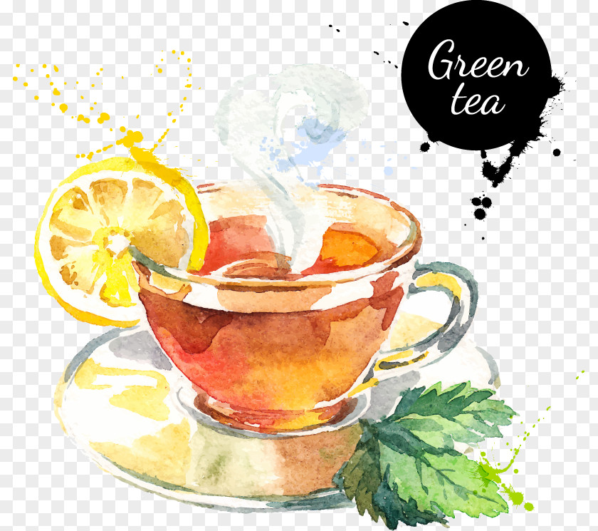 Green Tea Cup Darjeeling Drink PNG