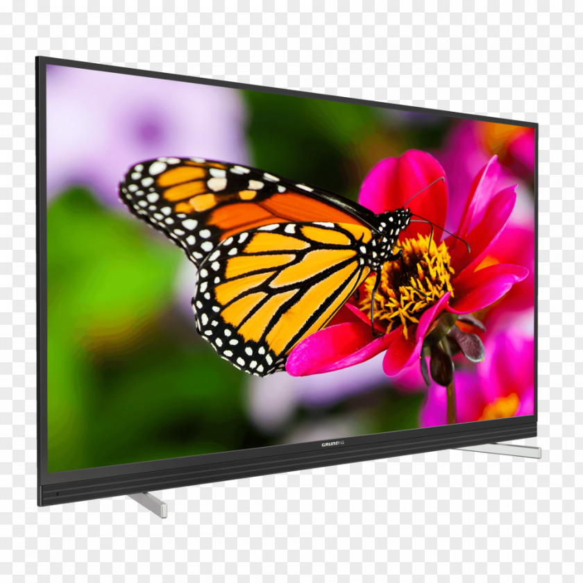 Led Tv Butterfly Gardening Flower LED-backlit LCD Television PNG