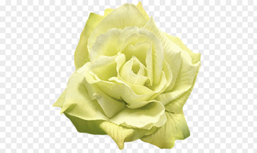 Mint Flowers Rose Flower Yellow White Green PNG
