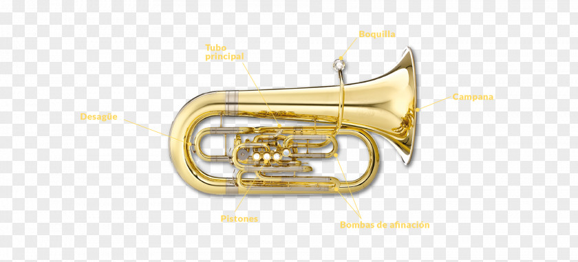 Musical Instruments Saxhorn Euphonium Tuba Brass PNG