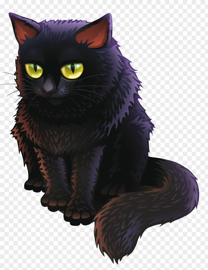 Witch Cat Bombay Black Kitten PNG