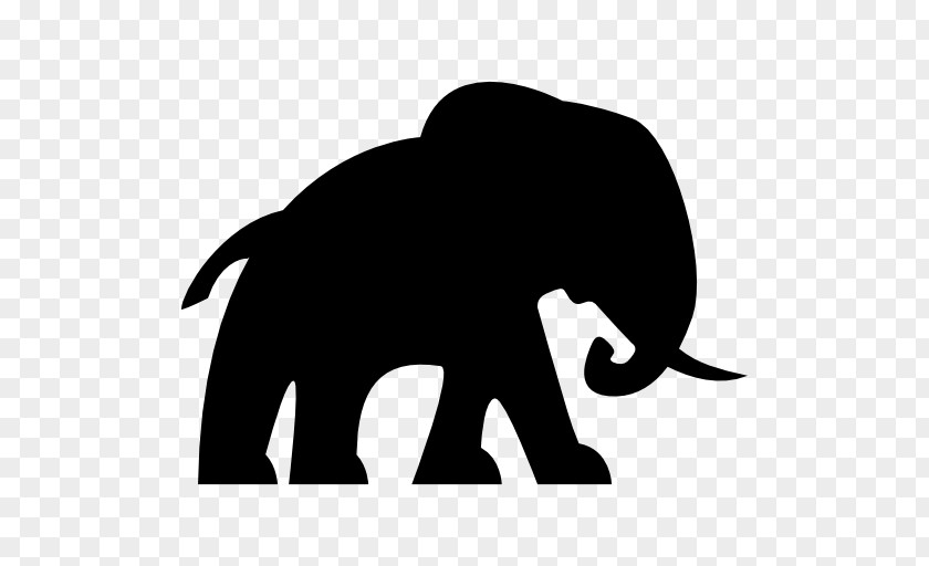 Zoo Vector African Elephant Wildlife Echo Of The Elephants PNG