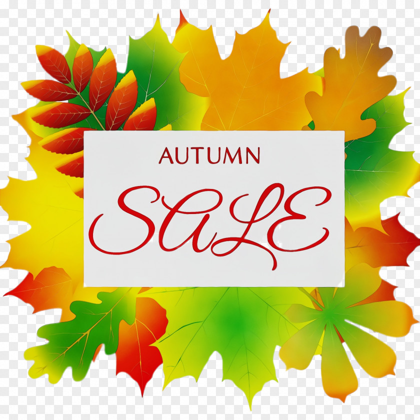 Autumn Plant Leaf Text Tree Clip Art PNG