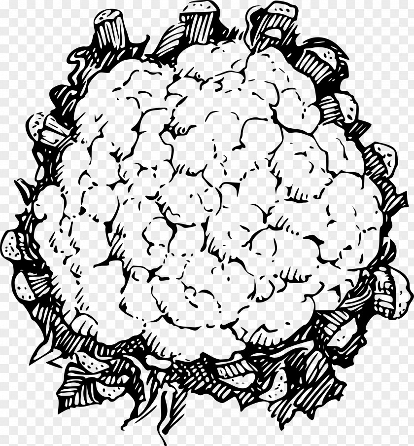 Broccoli Cauliflower Line Art Clip PNG