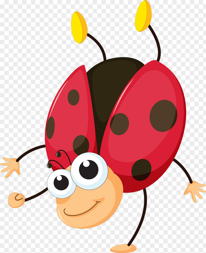 Bugs Insect Drawing Google Search Clip Art PNG