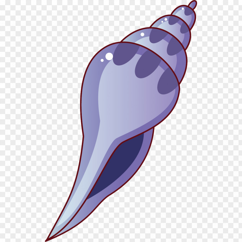 Cartoon Hand-painted Conch Stock Illustration PNG