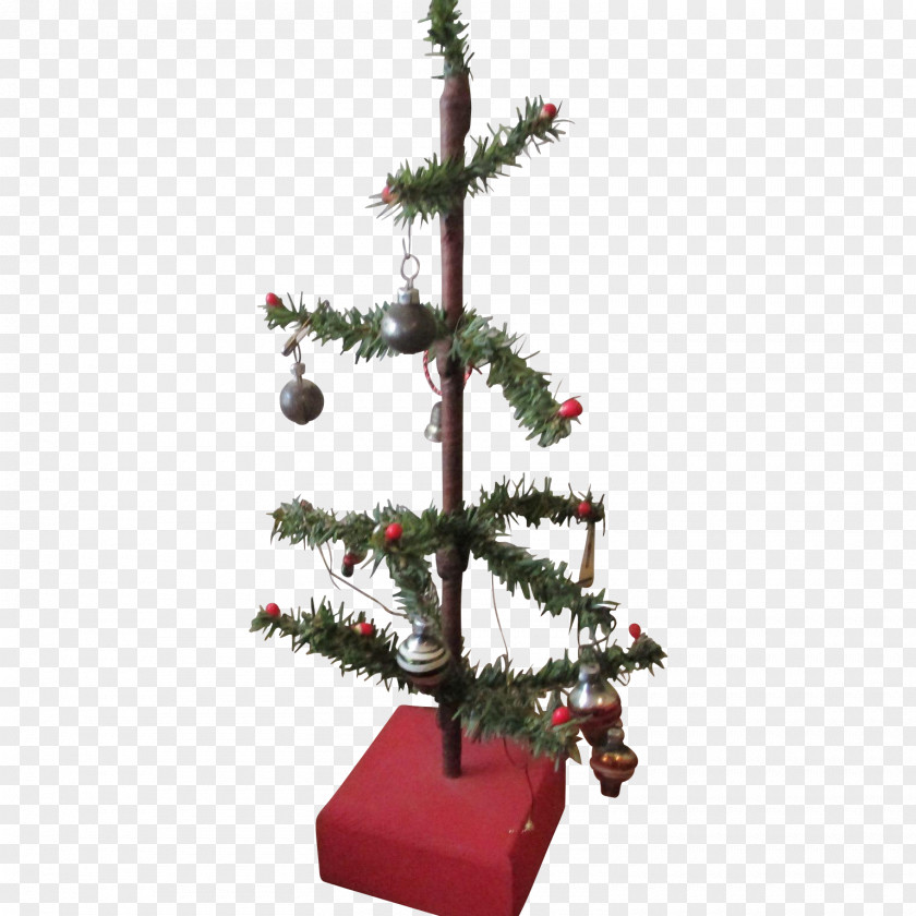 Christmas Tree Pine Spruce Fir Decoration PNG