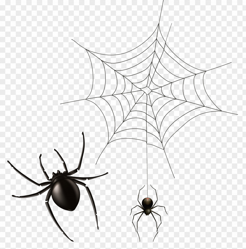 Cobweb Cliparts Free Spider Web Clip Art PNG