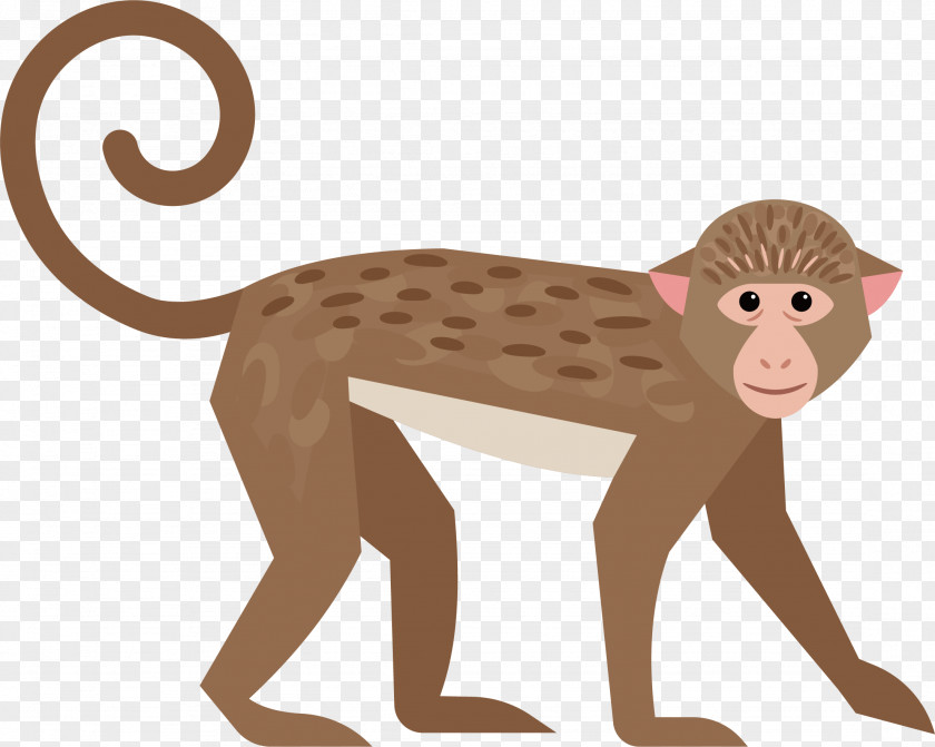 Cute Little Monkey Ape PNG