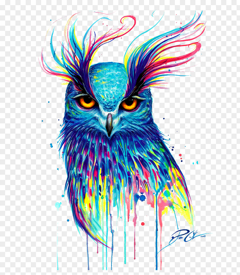 Owl T-shirt Bird Drawing Painting PNG