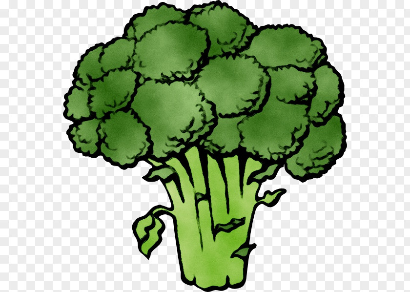 Broccoli Clip Art Cauliflower Vegetable PNG