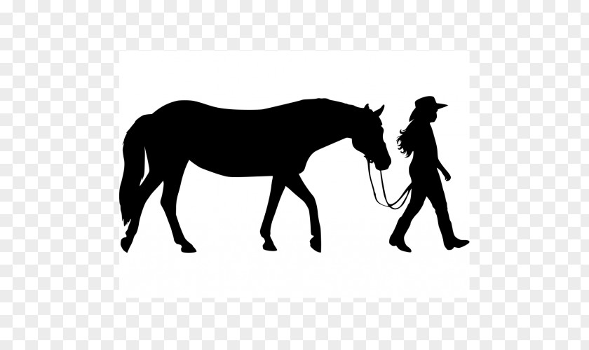 Horse Foal Equestrian Wall Decal Silhouette PNG
