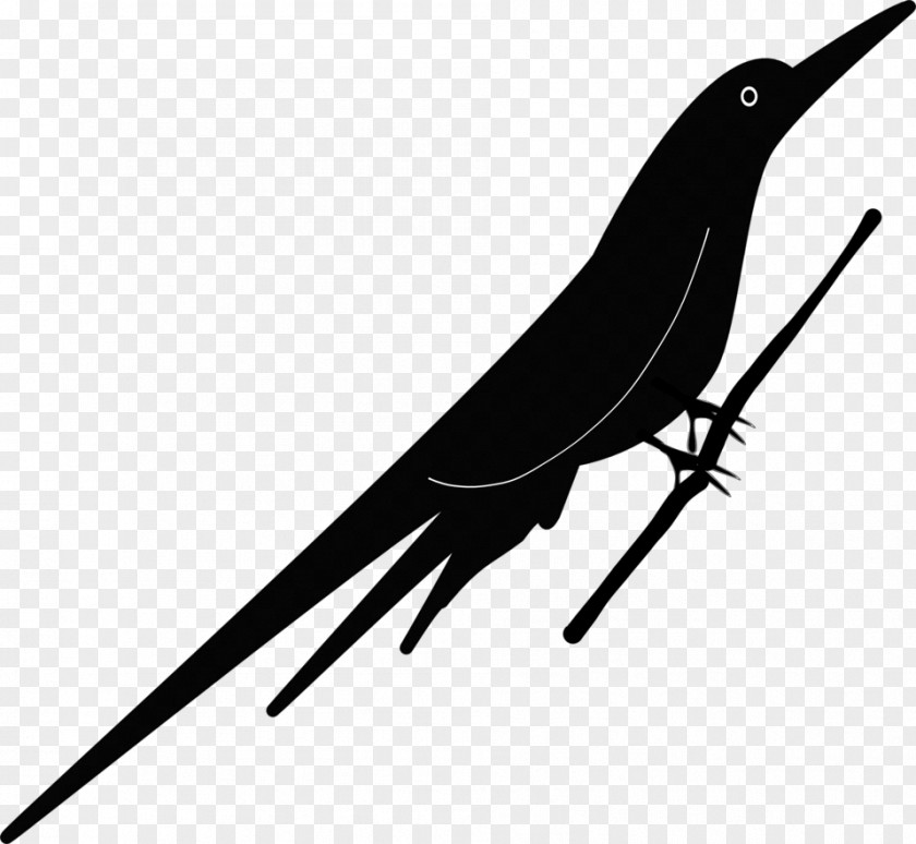 Animal Silhouettes Bird Beak Drawing Clip Art PNG