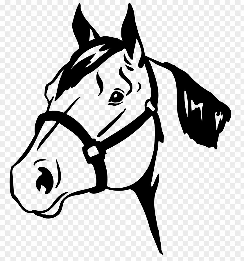 Horse Head Vector Graphics Silhouette Clip Art PNG
