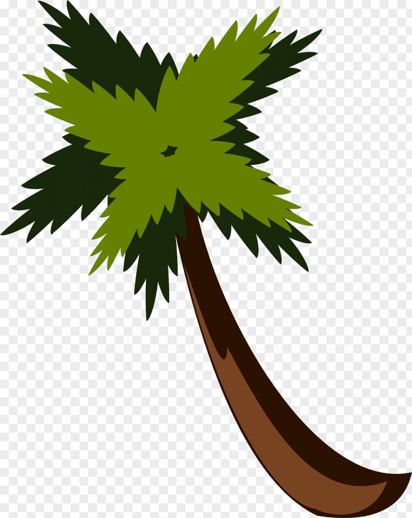 Lush Coconut Trees Arecaceae Clip Art PNG