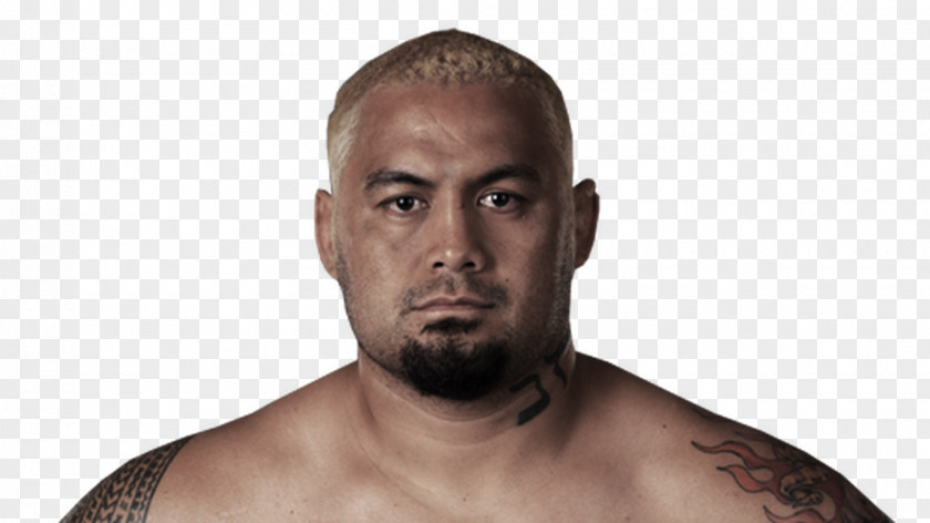 Mixed Martial Artist Mark Hunt UFC Fight Night 52: Vs. Nelson Arts Boxing Heavyweight PNG