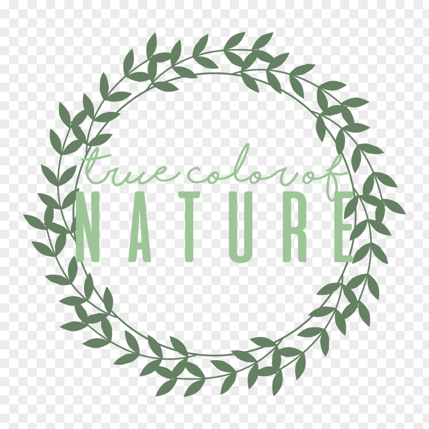 Nature Color Cartoon Clip Art PNG