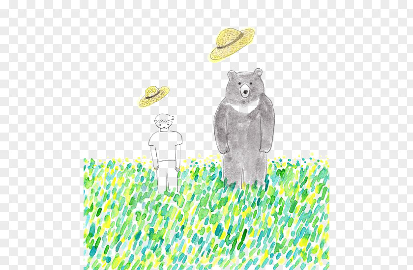 Cartoon Bear Illustration PNG