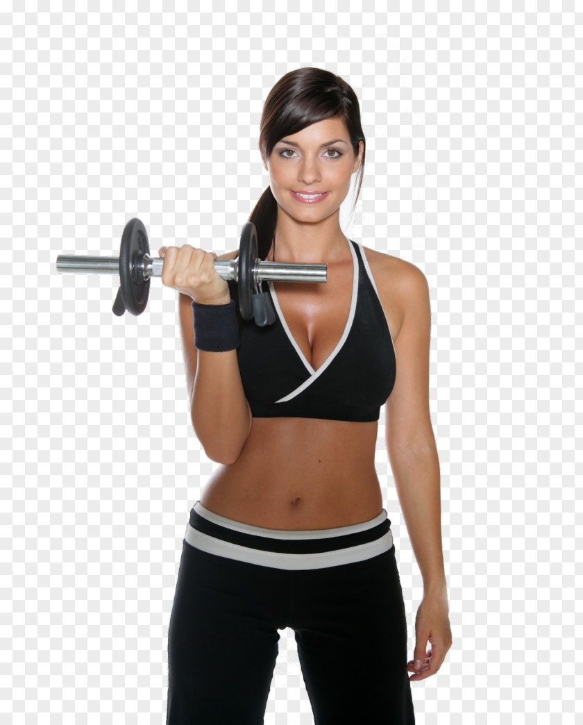 Health Weight Training Blog Exercise Physical Fitness PNG