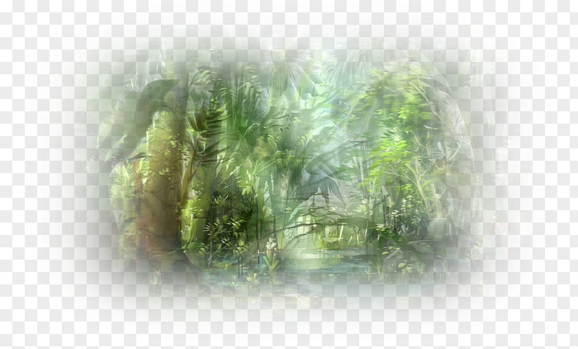 Nature Background Digital Image Photography Desktop Wallpaper PNG