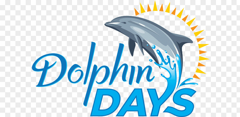 Park Attraction Dolphin Days SeaWorld Orlando San Diego Universal PNG