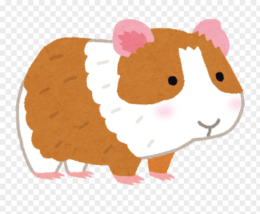 Cat Guinea Pig Hamster Dog いらすとや PNG