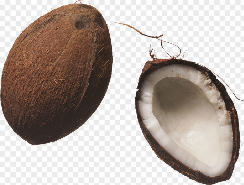 Coconut Image Milk Juice Nucule PNG
