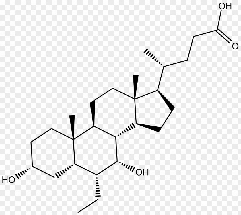 Hyaluronic Acid Farnesoid X Receptor Obeticholic Chenodeoxycholic Hormone PNG