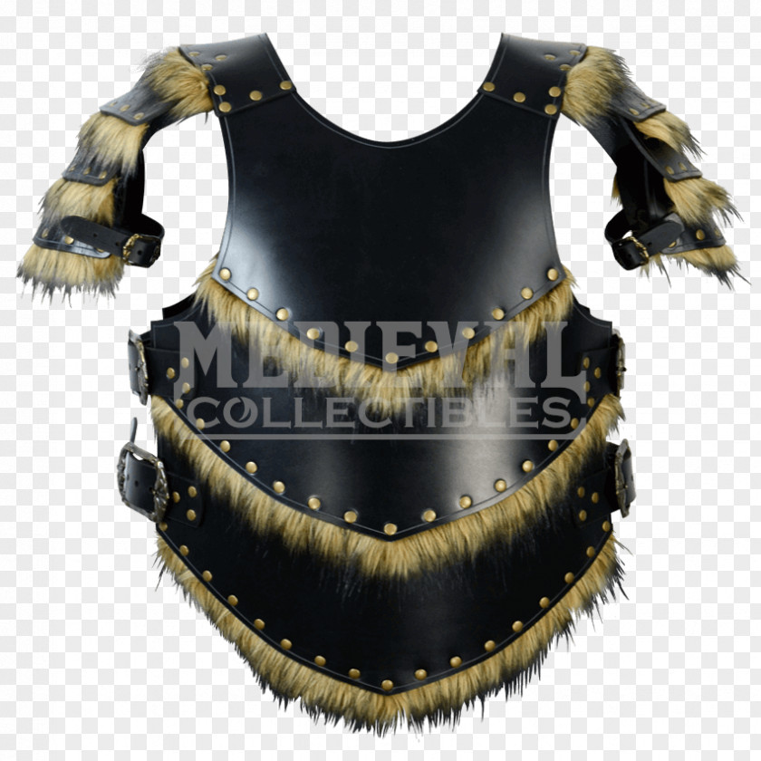 Warrior Armor Viking Age Arms And Armour Body Norsemen PNG