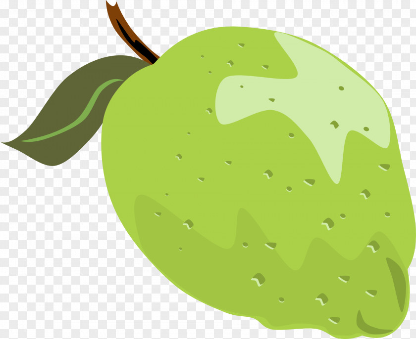 A Green Lemon Guava Lime Fruit Clip Art PNG