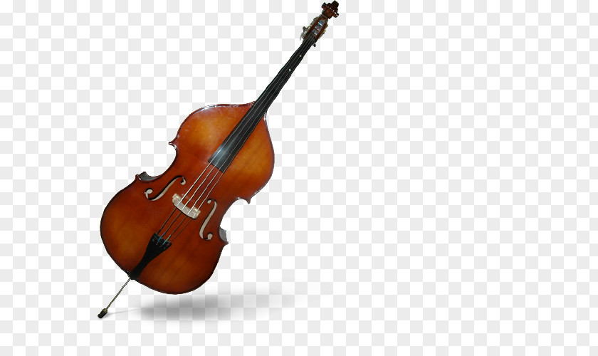 Bass Violin Double Violone Viola Tololoche PNG