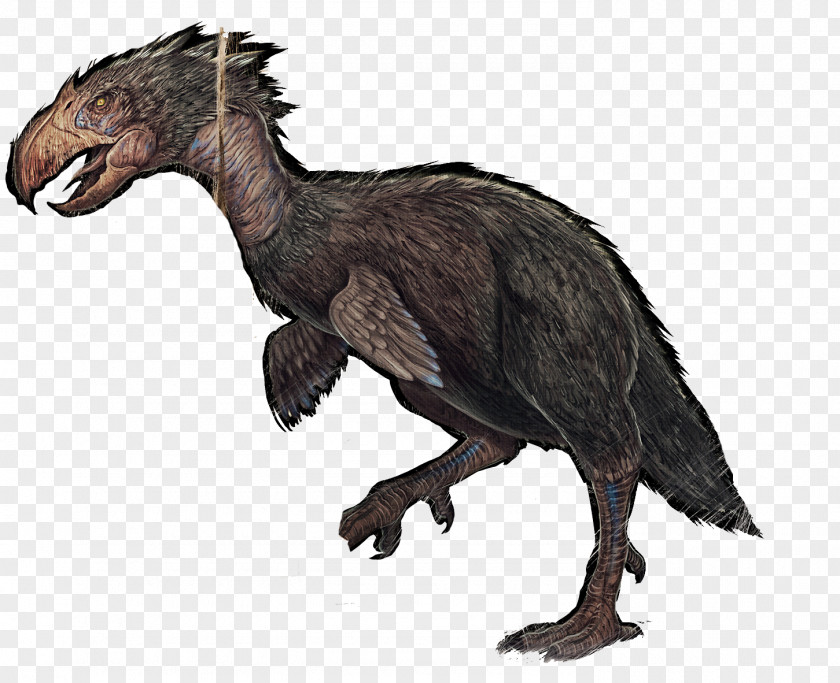 Bird Tyrannosaurus ARK: Survival Evolved Terror Birds Dinosaur PNG