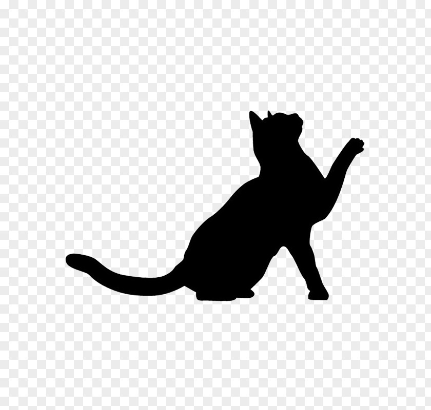 Cat Small To Medium-sized Cats Black White PNG