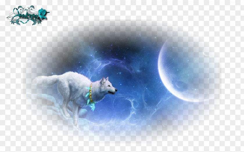 Earth /m/02j71 Gray Wolf Desktop Wallpaper PNG