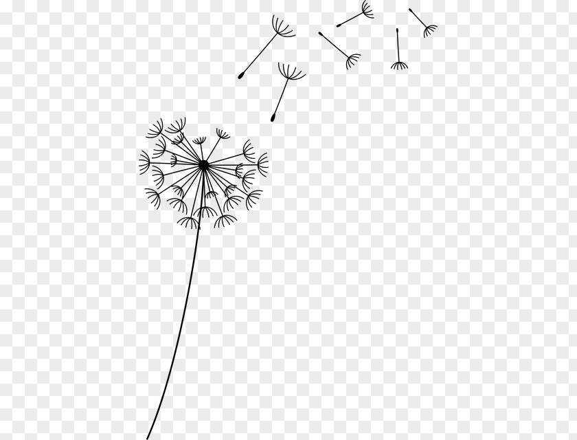 Flying Dandelion Painted Flower Pixel PNG