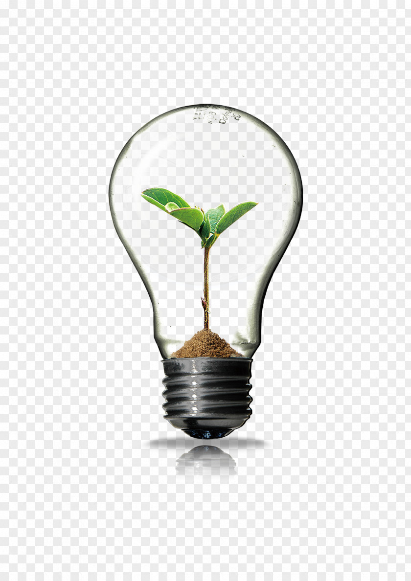 Light Bulb Innovation PNG