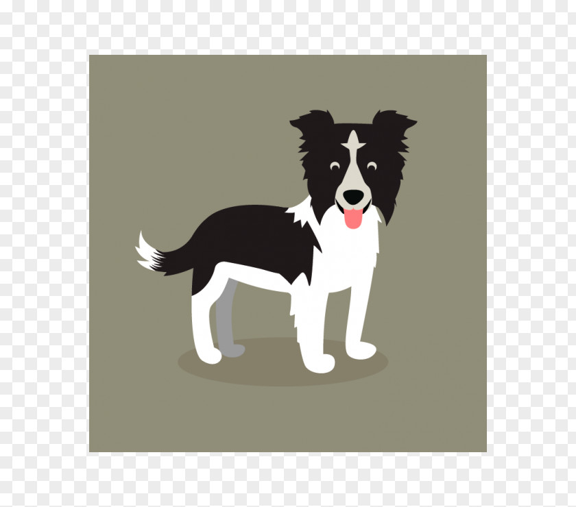 Puppy Border Collie Dog Breed Rough Companion PNG