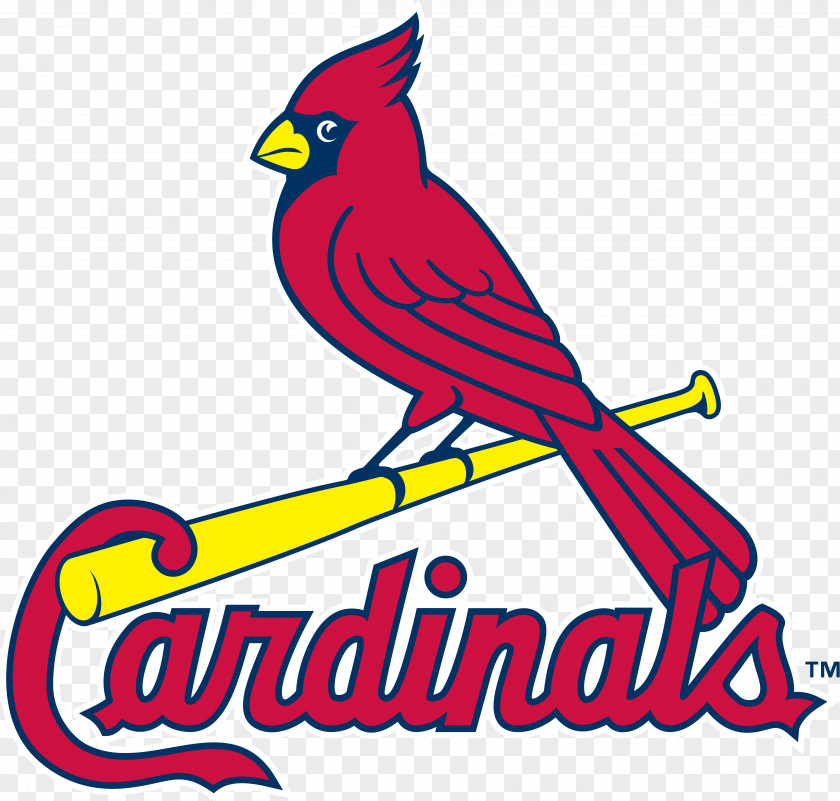 Street Logos And Uniforms Of The St. Louis Cardinals MLB Busch Stadium Baseball PNG