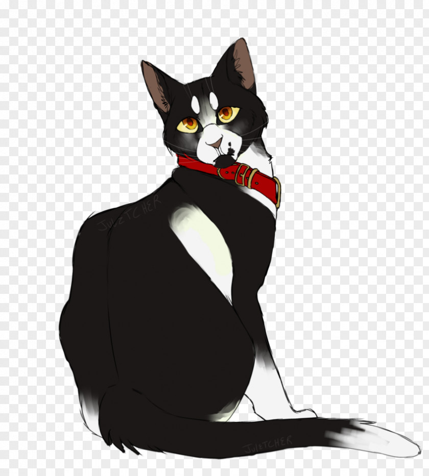 Cat Whiskers Black Domestic Short-haired Warriors PNG