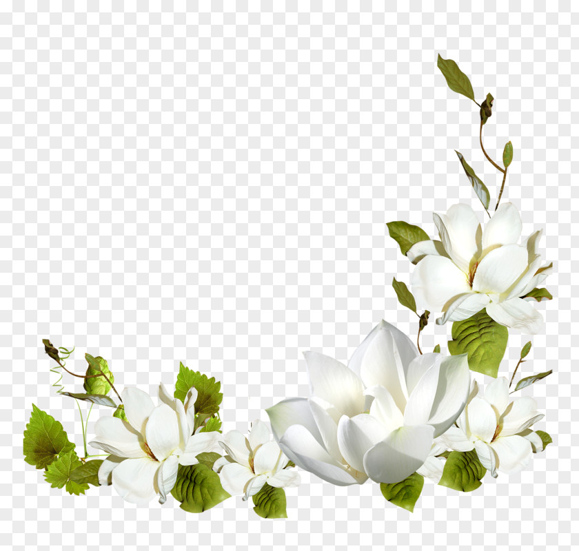 Flowers Floral Decorations Flower Garden Roses PNG