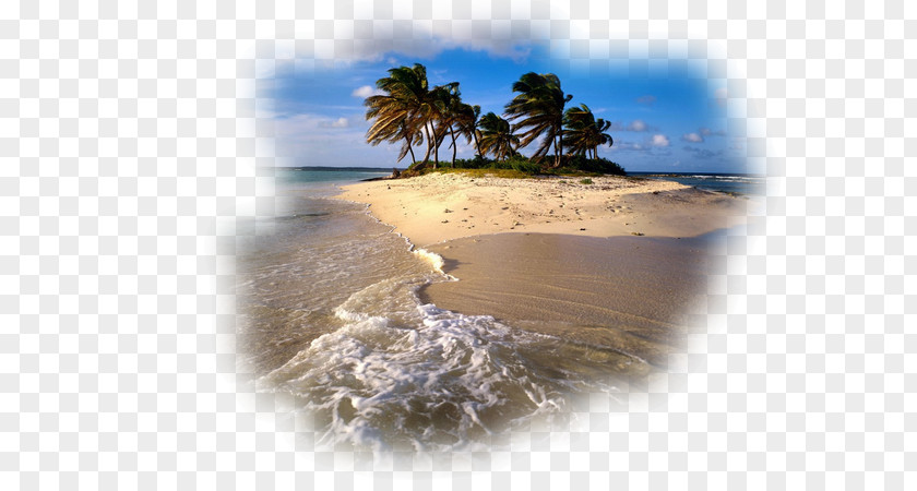 IPhone 6 Plus Desktop Wallpaper Caribbean 6s PNG