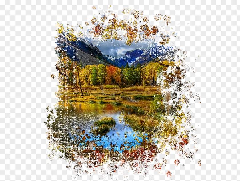 Landscape Paintings Desktop Wallpaper Autumn 4K Resolution High-definition Television PNG